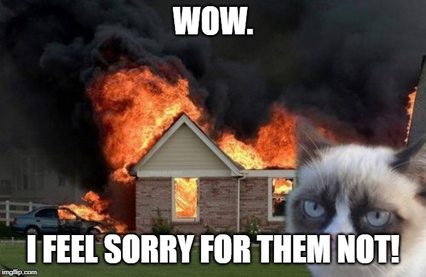 Burn Kitty Meme | WOW. I FEEL SORRY FOR THEM NOT! | image tagged in memes,burn kitty,grumpy cat | made w/ Imgflip meme maker