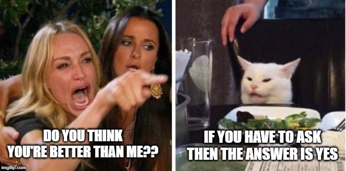 IF YOU HAVE TO ASK THEN THE ANSWER IS YES; DO YOU THINK YOU'RE BETTER THAN ME?? | image tagged in smudge the cat | made w/ Imgflip meme maker