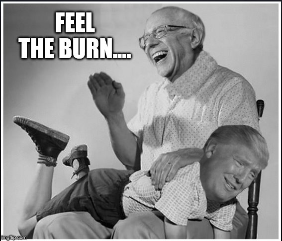 THE BURN | FEEL THE BURN.... | image tagged in bernie sanders,donald trump,impeach trump,moron,spanking | made w/ Imgflip meme maker