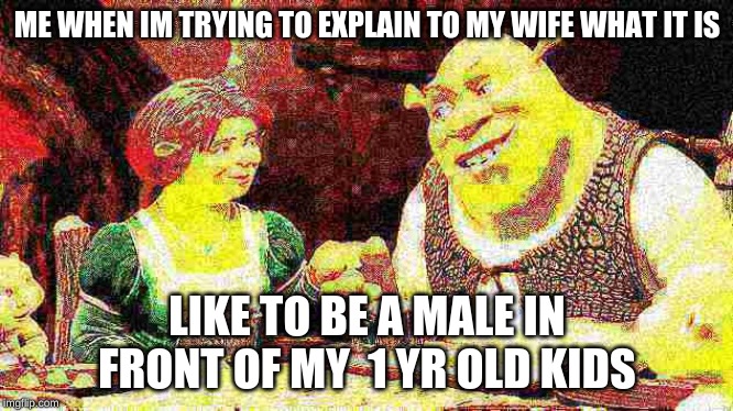 ME WHEN IM TRYING TO EXPLAIN TO MY WIFE WHAT IT IS; LIKE TO BE A MALE IN FRONT OF MY  1 YR OLD KIDS | image tagged in shrek,deep fried | made w/ Imgflip meme maker