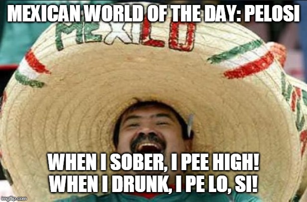 Nancy!  Dónde está el baño! | MEXICAN WORLD OF THE DAY: PELOSI; WHEN I SOBER, I PEE HIGH!
WHEN I DRUNK, I PE LO, SI! | image tagged in mexican word of the day,nancy pelosi wtf,memes | made w/ Imgflip meme maker