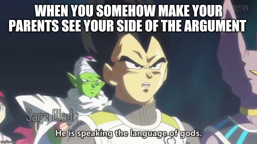 he is speaking the language of the gods | WHEN YOU SOMEHOW MAKE YOUR PARENTS SEE YOUR SIDE OF THE ARGUMENT | image tagged in he is speaking the language of the gods | made w/ Imgflip meme maker