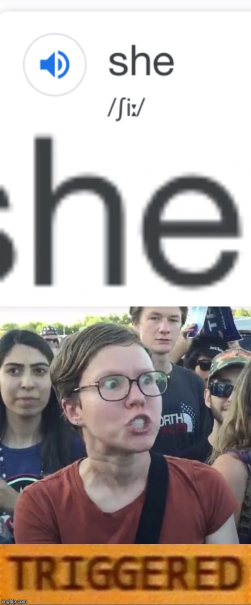 She | image tagged in triggered feminist,roblox triggered,funny,memes,she,google | made w/ Imgflip meme maker