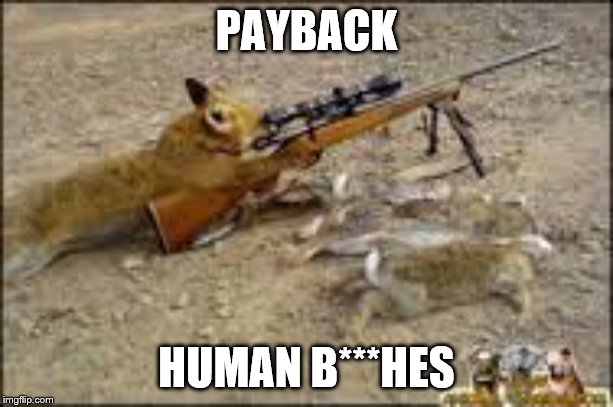 animals tevenge | PAYBACK; HUMAN B***HES | image tagged in animals tevenge | made w/ Imgflip meme maker