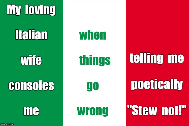 More Lost in Translation | My  loving
 
Italian
 
wife
 
consoles
 
me; when
 
  things
 
go
 
wrong; telling  me
 
 poetically
 
 "Stew  not!" | image tagged in the italian flag,italians,rick75230,lost in translation,stunad | made w/ Imgflip meme maker