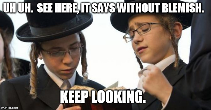 Orthodox Jew | UH UH.  SEE HERE, IT SAYS WITHOUT BLEMISH. KEEP LOOKING. | image tagged in orthodox jew | made w/ Imgflip meme maker