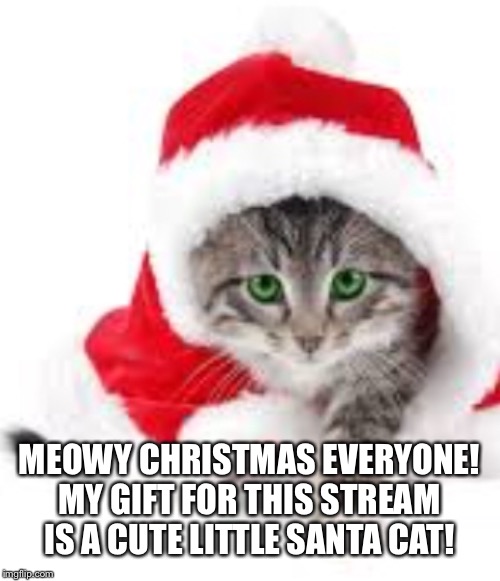 Say awww for a good Christmas! <3 | MEOWY CHRISTMAS EVERYONE! MY GIFT FOR THIS STREAM IS A CUTE LITTLE SANTA CAT! | image tagged in wholesome,christmas,cats,snow,cute | made w/ Imgflip meme maker