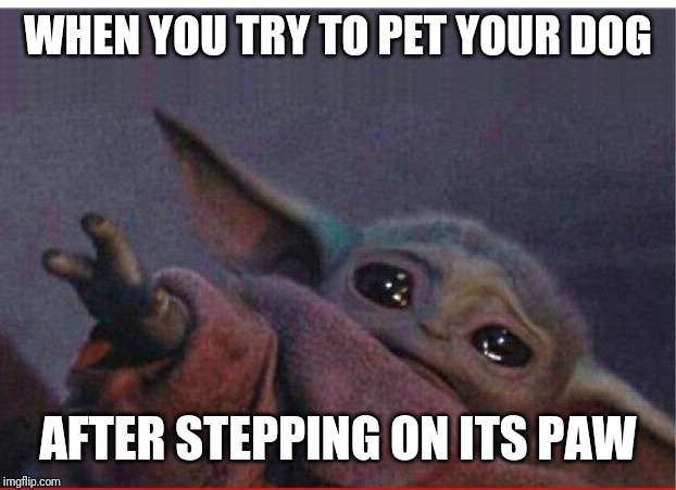 Baby Yoda | WHEN YOU TRY TO PET YOUR DOG; AFTER STEPPING ON ITS PAW | image tagged in baby yoda,baby yoda cry,baby yoda tea,dog,star wars,star wars yoda | made w/ Imgflip meme maker
