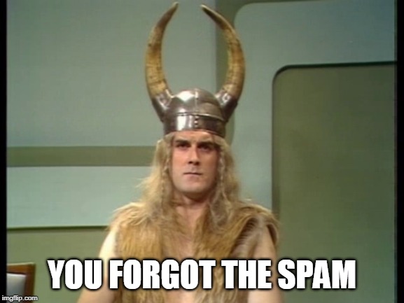Viking | YOU FORGOT THE SPAM | image tagged in viking | made w/ Imgflip meme maker