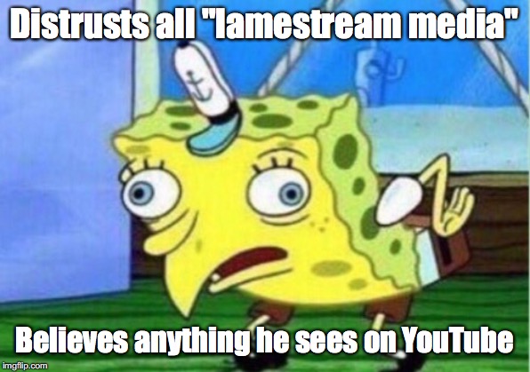 Mocking Spongebob Meme | Distrusts all "lamestream media"; Believes anything he sees on YouTube | image tagged in memes,mocking spongebob | made w/ Imgflip meme maker