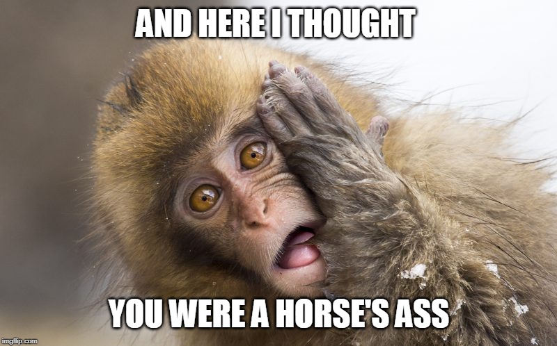 Huh? | AND HERE I THOUGHT YOU WERE A HORSE'S ASS | image tagged in huh | made w/ Imgflip meme maker