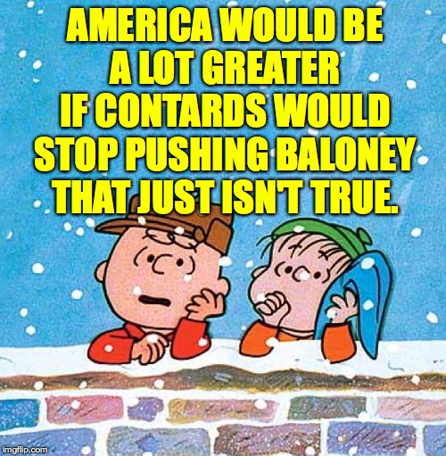 Yep, that would be great  ( : | AMERICA WOULD BE
A LOT GREATER IF CONTARDS WOULD STOP PUSHING BALONEY THAT JUST ISN'T TRUE. | image tagged in charlie brown and linus,memes,contard baloney sammiches no thanks | made w/ Imgflip meme maker