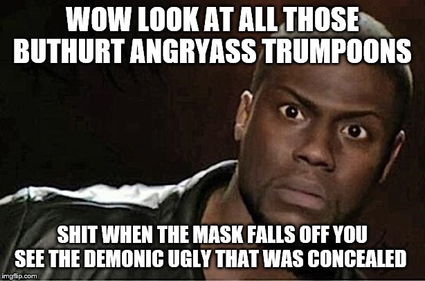 Kevin Hart | WOW LOOK AT ALL THOSE BUTHURT ANGRYASS TRUMPOONS; SHIT WHEN THE MASK FALLS OFF YOU SEE THE DEMONIC UGLY THAT WAS CONCEALED | image tagged in memes,kevin hart | made w/ Imgflip meme maker