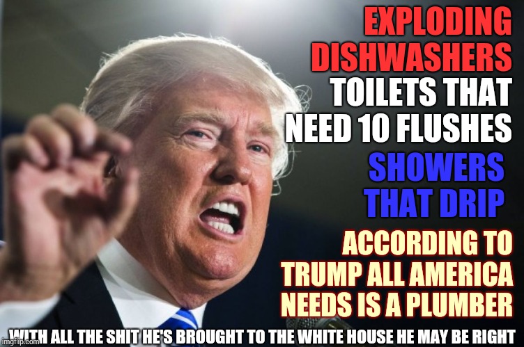 Up To His Eyeballs In BS | TOILETS THAT NEED 10 FLUSHES; EXPLODING DISHWASHERS; SHOWERS THAT DRIP; ACCORDING TO TRUMP ALL AMERICA NEEDS IS A PLUMBER; WITH ALL THE SHIT HE'S BROUGHT TO THE WHITE HOUSE HE MAY BE RIGHT | image tagged in donald trump,memes,trump unfit unqualified dangerous,liar in chief,lock him up,obstruction | made w/ Imgflip meme maker