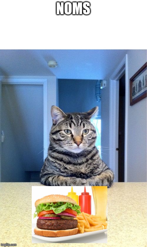 Take A Seat Cat Meme | NOMS | image tagged in memes,take a seat cat | made w/ Imgflip meme maker