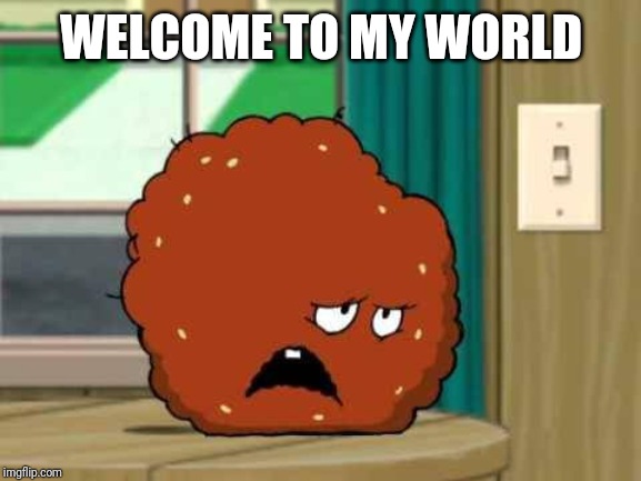 meatwad | WELCOME TO MY WORLD | image tagged in meatwad | made w/ Imgflip meme maker