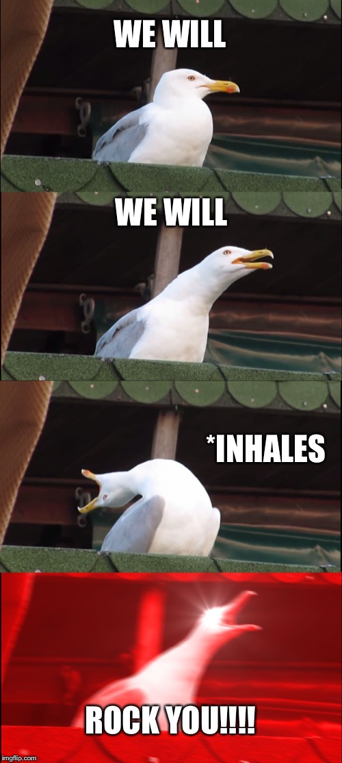 Inhaling Seagull | WE WILL; WE WILL; *INHALES; ROCK YOU!!!! | image tagged in memes,inhaling seagull | made w/ Imgflip meme maker