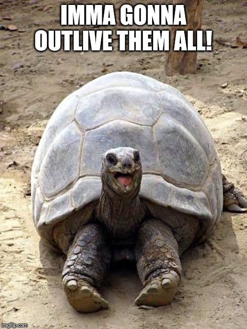 Smiling happy excited tortoise | IMMA GONNA OUTLIVE THEM ALL! | image tagged in smiling happy excited tortoise | made w/ Imgflip meme maker