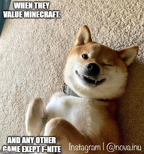 WHEN THEY VALUE MINECRAFT. AND ANY OTHER GAME EXEPT F-NITE | image tagged in shibe wink | made w/ Imgflip meme maker