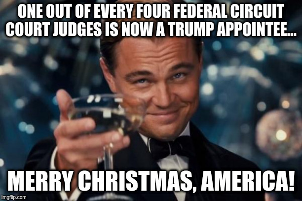 Leonardo Dicaprio Cheers Meme | ONE OUT OF EVERY FOUR FEDERAL CIRCUIT COURT JUDGES IS NOW A TRUMP APPOINTEE... MERRY CHRISTMAS, AMERICA! | image tagged in memes,leonardo dicaprio cheers | made w/ Imgflip meme maker