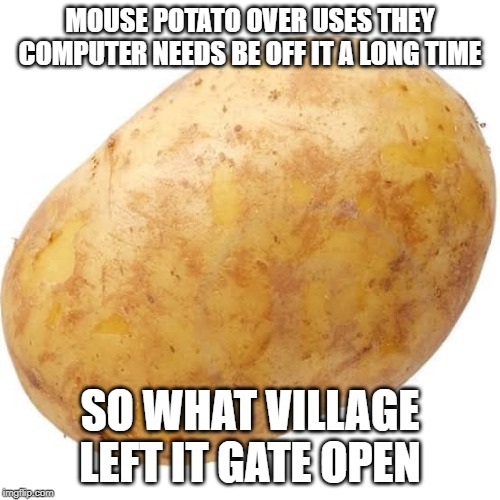  MOUSE POTATO OVER USES THEY COMPUTER NEEDS BE OFF IT A LONG TIME; SO WHAT VILLAGE LEFT IT GATE OPEN | image tagged in potato | made w/ Imgflip meme maker