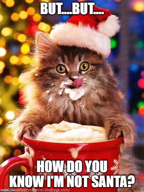Christmas Cat | BUT....BUT.... HOW DO YOU KNOW I'M NOT SANTA? | image tagged in christmas cat | made w/ Imgflip meme maker