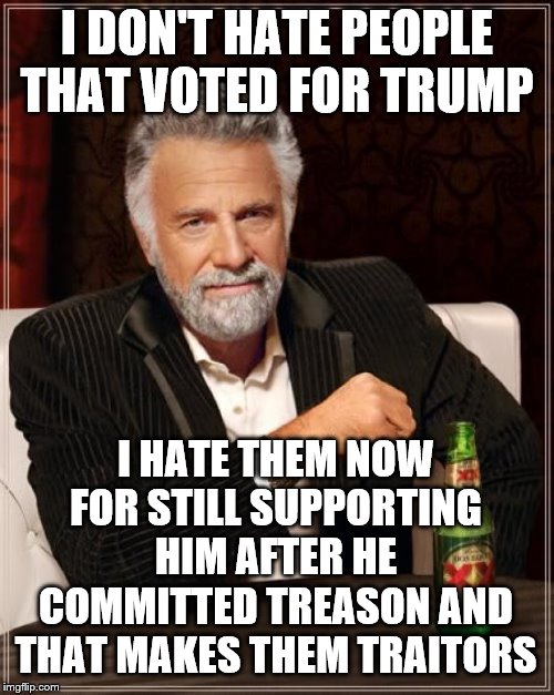 The Most Interesting Man In The World | I DON'T HATE PEOPLE THAT VOTED FOR TRUMP; I HATE THEM NOW FOR STILL SUPPORTING HIM AFTER HE COMMITTED TREASON AND THAT MAKES THEM TRAITORS | image tagged in memes,the most interesting man in the world | made w/ Imgflip meme maker