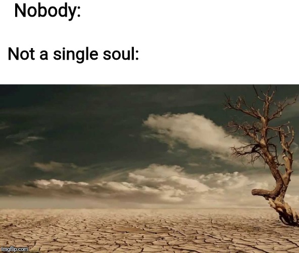 If you don't get the joke then you've never seen a meme before | Nobody:; Not a single soul: | image tagged in wasteland,nobody | made w/ Imgflip meme maker