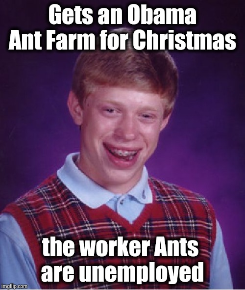 "What's that guy doing in 
Obama's office ?"- James Comey | Gets an Obama Ant Farm for Christmas; the worker Ants 
are unemployed | image tagged in memes,bad luck brian,economy,now this looks like a job for me,fast food,slow clap | made w/ Imgflip meme maker