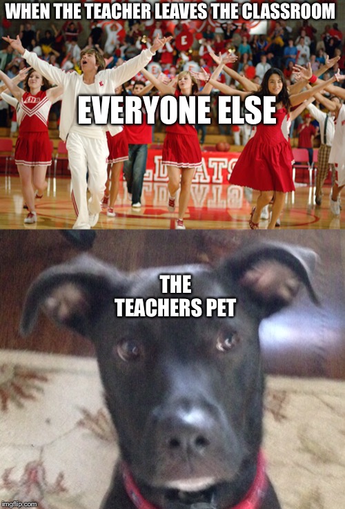 WHEN THE TEACHER LEAVES THE CLASSROOM; EVERYONE ELSE; THE TEACHERS PET | image tagged in high school musical | made w/ Imgflip meme maker