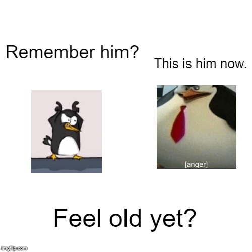 Blank Transparent Square | This is him now. Remember him? Feel old yet? | image tagged in memes,blank transparent square | made w/ Imgflip meme maker