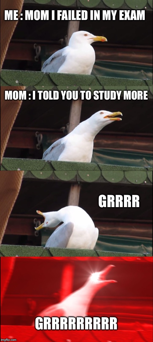Inhaling Seagull Meme | ME : MOM I FAILED IN MY EXAM; MOM : I TOLD YOU TO STUDY MORE; GRRRR; GRRRRRRRRR | image tagged in memes,inhaling seagull | made w/ Imgflip meme maker