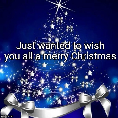 Merry Christmas  | Just wanted to wish you all a merry Christmas | image tagged in merry christmas | made w/ Imgflip meme maker
