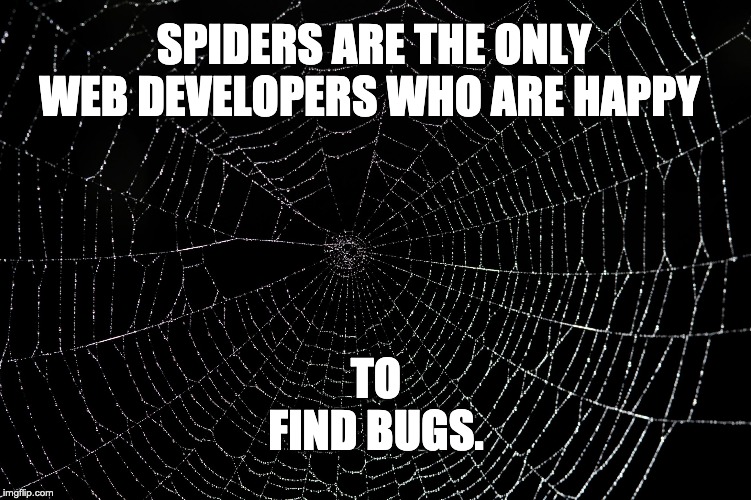 Spider Web | SPIDERS ARE THE ONLY WEB DEVELOPERS WHO ARE HAPPY; TO FIND BUGS. | image tagged in spider web | made w/ Imgflip meme maker