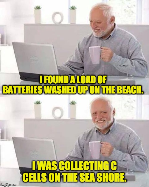 Hide the Pain Harold Meme | I FOUND A LOAD OF BATTERIES WASHED UP ON THE BEACH. I WAS COLLECTING C CELLS ON THE SEA SHORE. | image tagged in memes,hide the pain harold | made w/ Imgflip meme maker