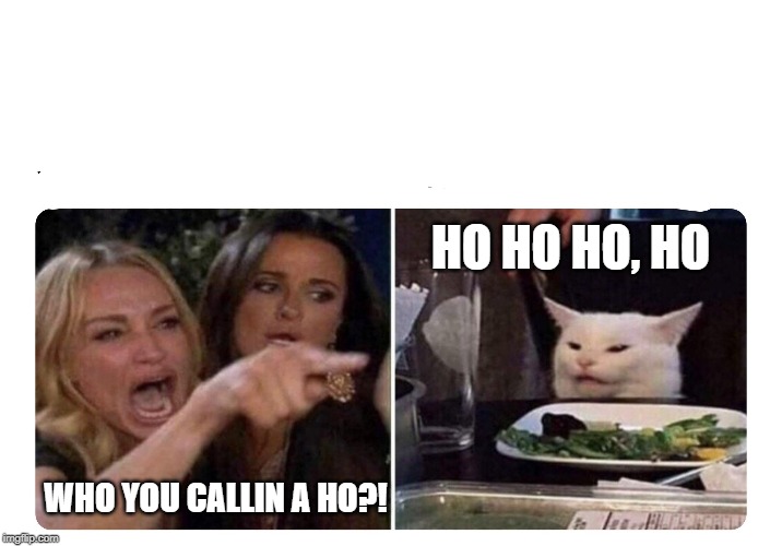 Housewives cat | HO HO HO, HO; WHO YOU CALLIN A HO?! | image tagged in housewives cat | made w/ Imgflip meme maker