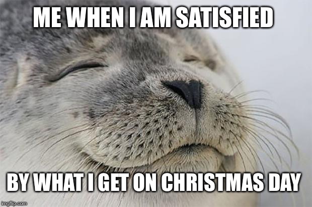 Satisfied Seal Meme | ME WHEN I AM SATISFIED; BY WHAT I GET ON CHRISTMAS DAY | image tagged in memes,satisfied seal | made w/ Imgflip meme maker