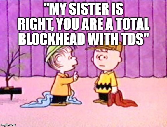 Charlie Brown and Linus | "MY SISTER IS RIGHT, YOU ARE A TOTAL BLOCKHEAD WITH TDS" | image tagged in charlie brown and linus | made w/ Imgflip meme maker