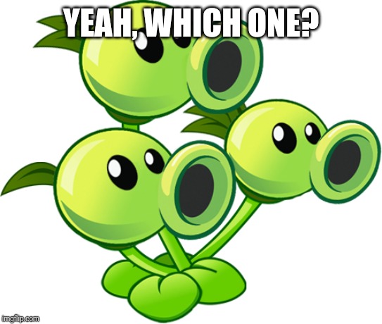 Threepeater | YEAH, WHICH ONE? | image tagged in threepeater | made w/ Imgflip meme maker
