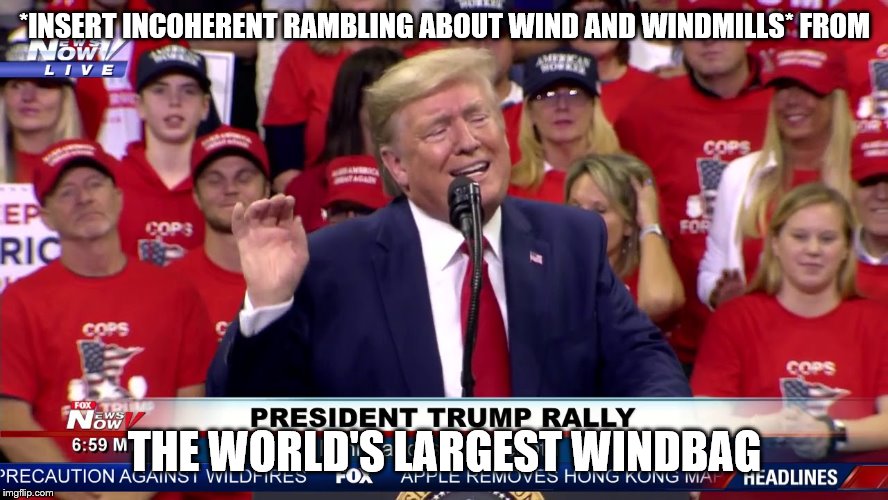 Trump latest rally | *INSERT INCOHERENT RAMBLING ABOUT WIND AND WINDMILLS* FROM; THE WORLD'S LARGEST WINDBAG | image tagged in trump latest rally | made w/ Imgflip meme maker