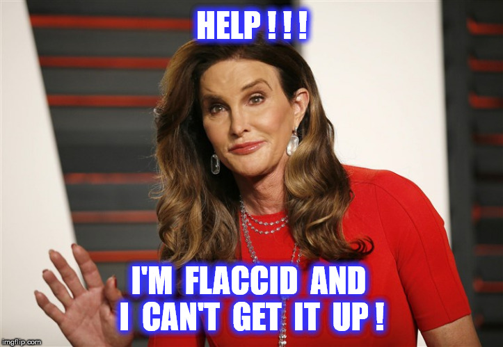 HELP ! ! ! I'M  FLACCID  AND  I  CAN'T  GET  IT  UP ! | made w/ Imgflip meme maker