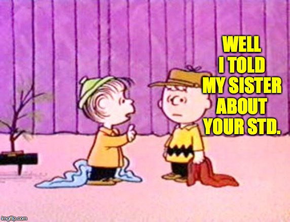 Charlie Brown and Linus | WELL I TOLD MY SISTER ABOUT YOUR STD. | image tagged in charlie brown and linus | made w/ Imgflip meme maker