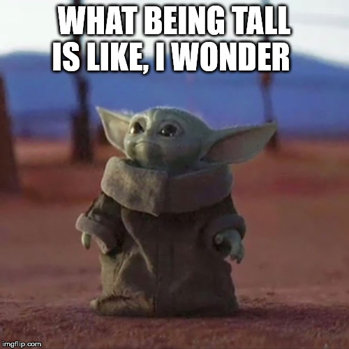 Baby Yoda | WHAT BEING TALL IS LIKE, I WONDER | image tagged in baby yoda | made w/ Imgflip meme maker