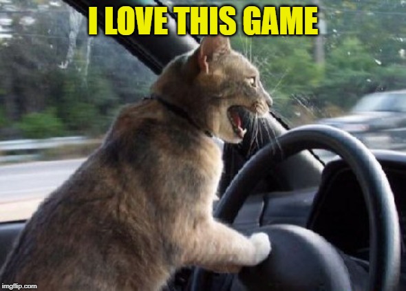 cat driving car | I LOVE THIS GAME | image tagged in cat driving car | made w/ Imgflip meme maker