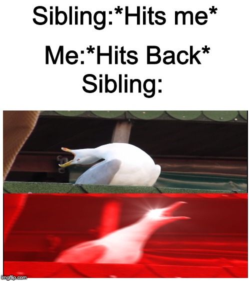 Sibling Meme #1 | Sibling:*Hits me*; Me:*Hits Back*; Sibling: | image tagged in blank white template,screaming bird | made w/ Imgflip meme maker