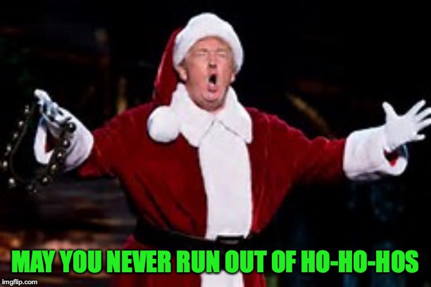 Trump Santa Claus | MAY YOU NEVER RUN OUT OF HO-HO-HOS | image tagged in trump santa claus,ho ho ho | made w/ Imgflip meme maker