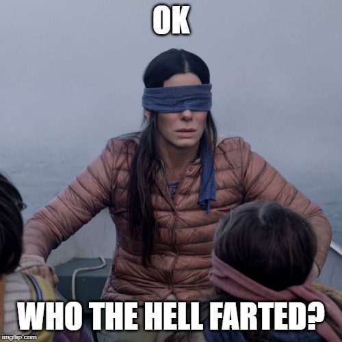 Bird Box Meme | OK; WHO THE HELL FARTED? | image tagged in memes,bird box,blindfold,fart | made w/ Imgflip meme maker