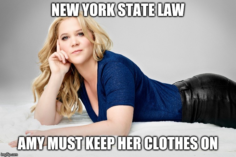 Amy Schumer | NEW YORK STATE LAW AMY MUST KEEP HER CLOTHES ON | image tagged in amy schumer | made w/ Imgflip meme maker
