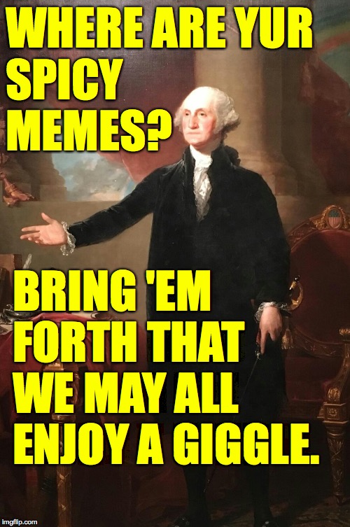 George Washington | WHERE ARE YUR
SPICY
MEMES? BRING 'EM FORTH THAT WE MAY ALL ENJOY A GIGGLE. | image tagged in george washington | made w/ Imgflip meme maker