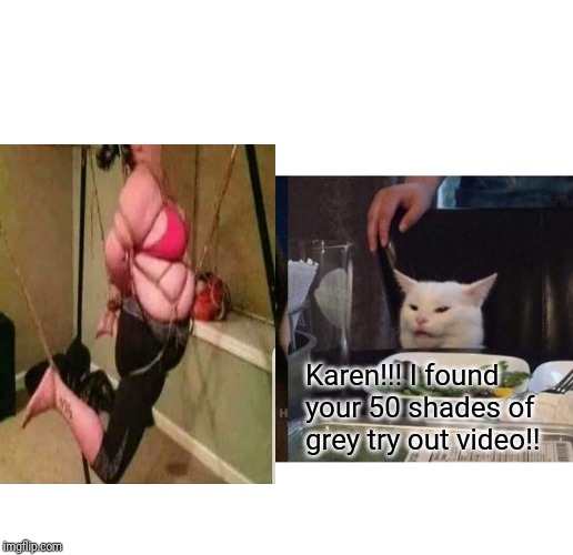 Woman Yelling At Cat | Karen!!! I found your 50 shades of grey try out video!! | image tagged in memes,woman yelling at cat | made w/ Imgflip meme maker